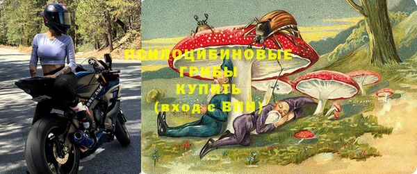 твердый Карпинск
