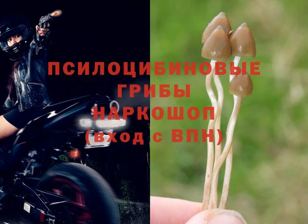 твердый Карпинск
