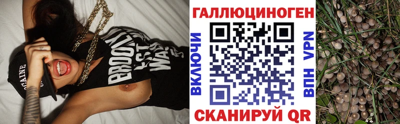 Псилоцибиновые грибы мухоморы  Яровое 